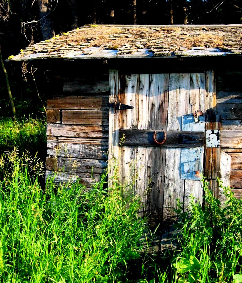 The Old Lucky Shed, Montana Summer