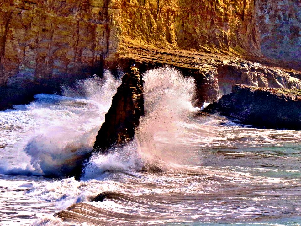 Wild Sea California Coast