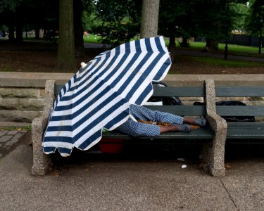 Hot and humid in Prospect Park