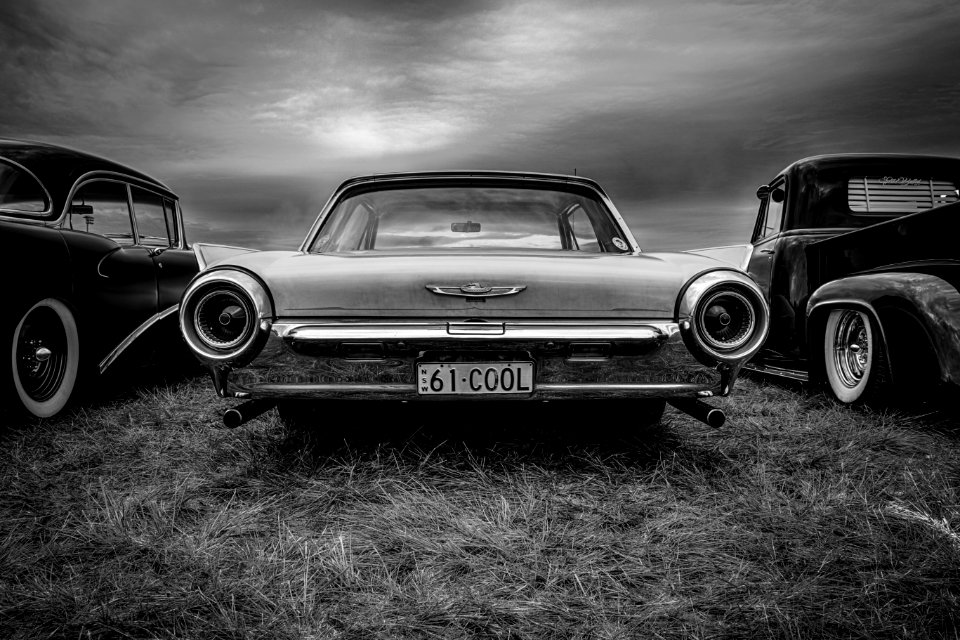 Wollondilly Big Day In