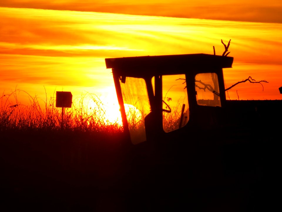 Farm Evening