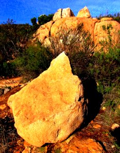Desert Hike Beauty, Cowles Mountain, San DIego, California photo