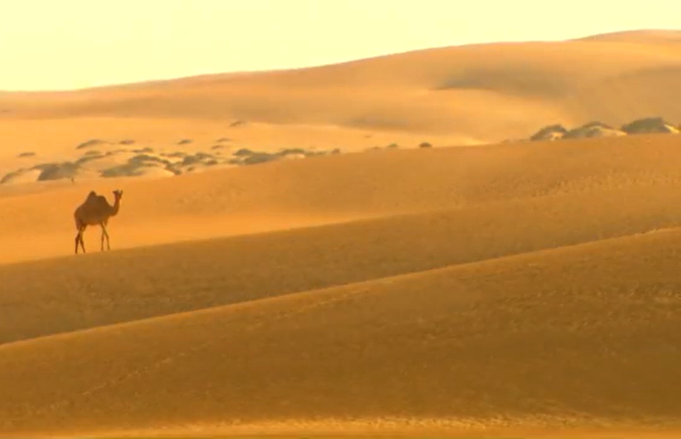 Desert Is My Kingdom-Oman
