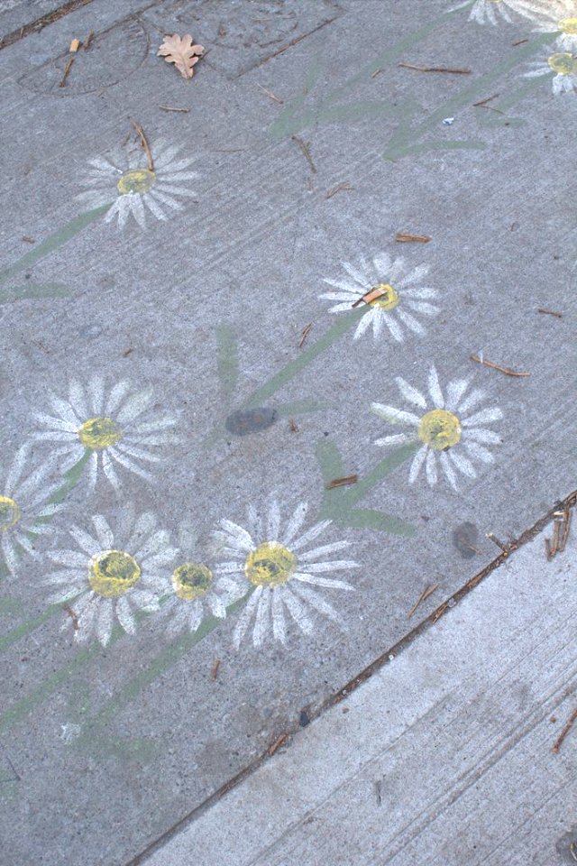 Queen's Flowers