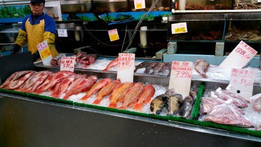 Vancouver Chinatown Streetscape - February 29, 2016