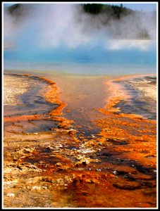 Mineral Pond, Pool of Life, Yellowstone National Park, Wyoming photo
