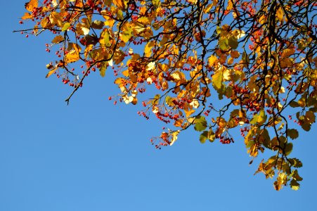 DSC 0157