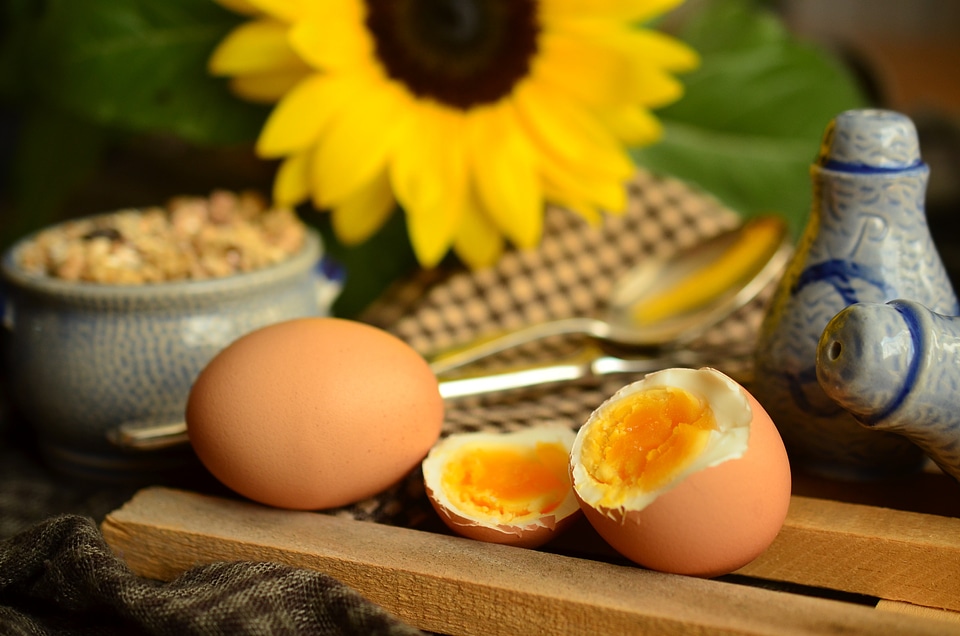 Breakfast egg breakfast yellow