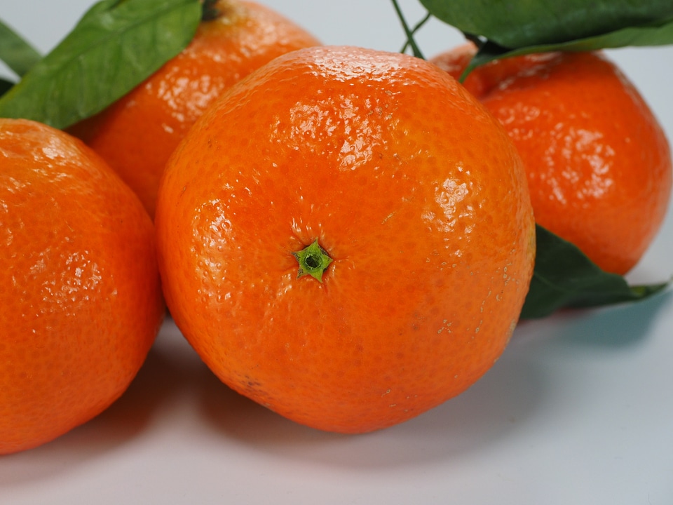 Clementine citrus fruit orange