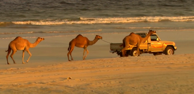 Training on the beach-Oman