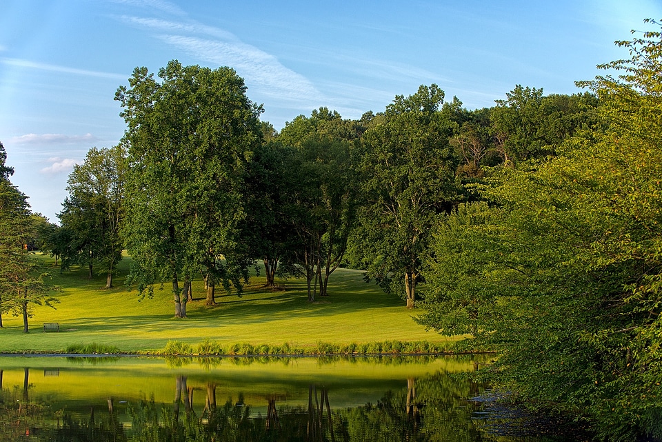 Scenic green outdoors