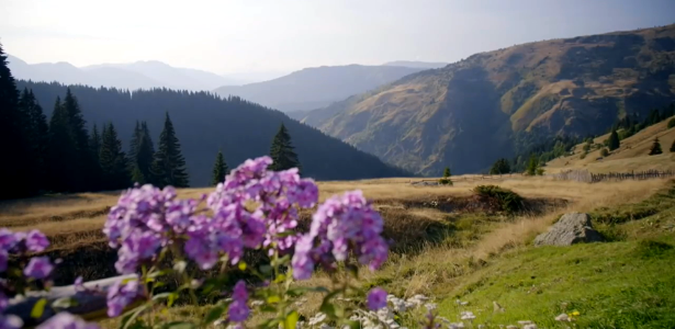 Summertime in the Mountains-Austria