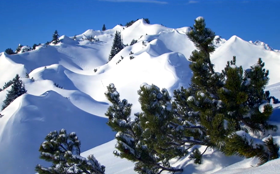 Happy Holidays-Austria