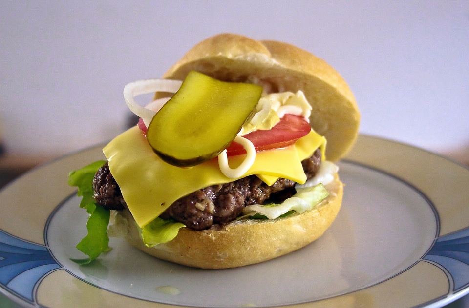 Food hamburger tomato
