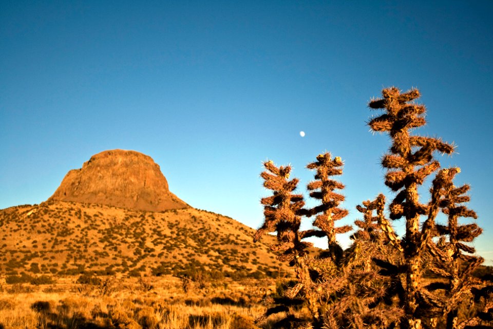 Cabezon Peak and Moon with cactus