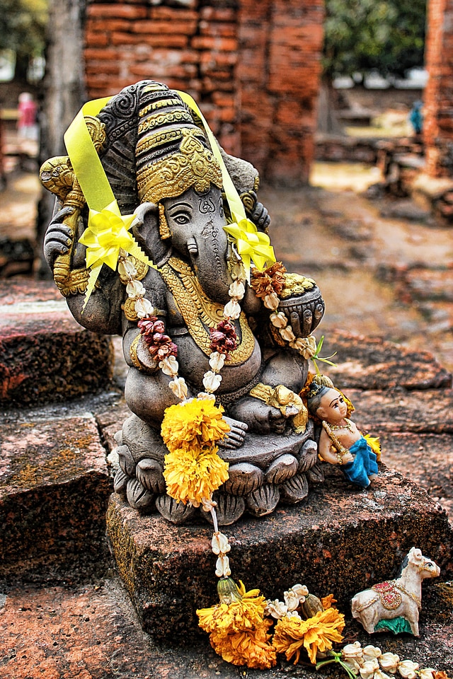 Flowers elephant stone