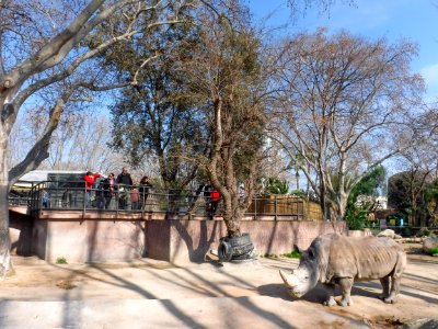 27022017-DSCF2127