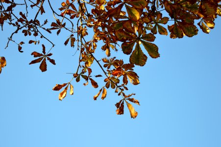 DSC 0156