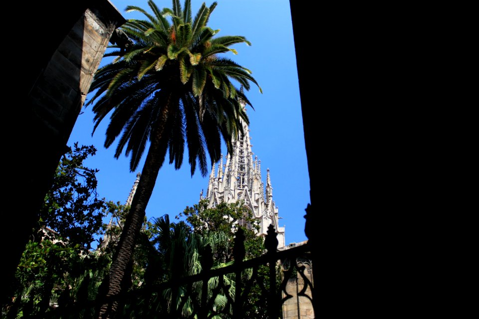 Cathédrale Sainte-Croix de Barcelone photo