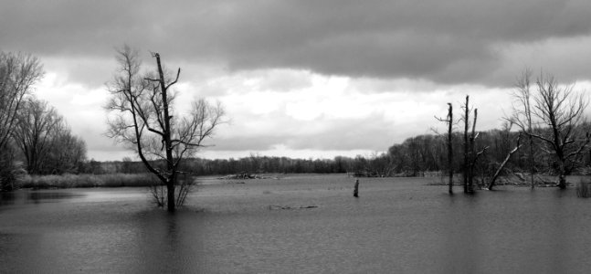 Bleak Winter Scene photo