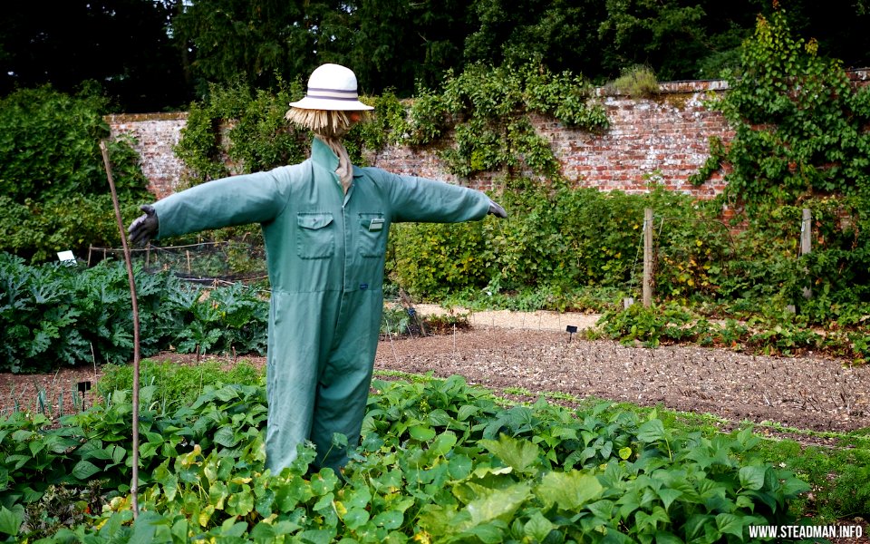 Hinton Ampner - Scarecrow