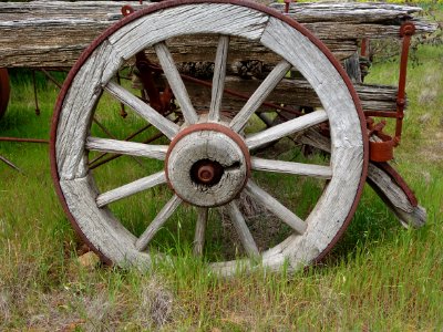 Belalie North. Old steel ringed wooden bullock cart wheel from the 19th century. photo