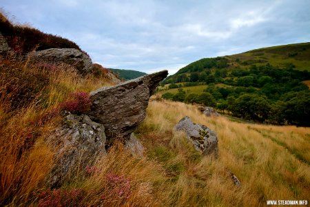 Rhayader Nature Reserve