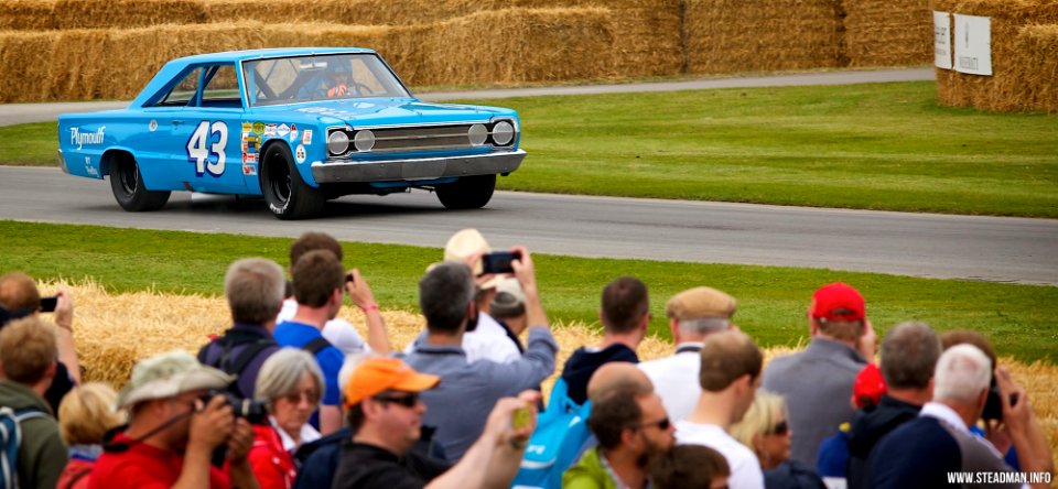 2014 Goodwood Festival Of Speed - Richard Petty