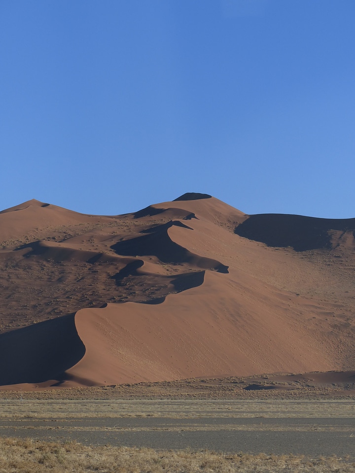 Sussusvlie dunes comb