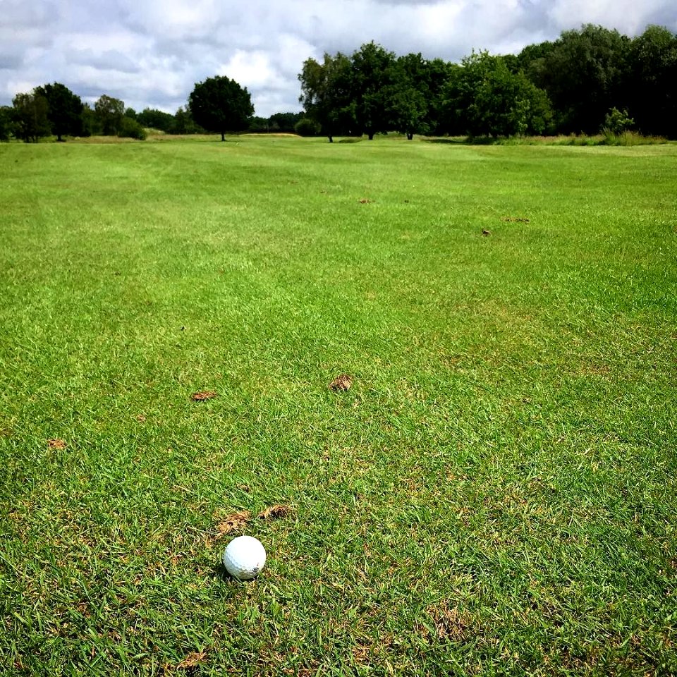 Nice day for some #golf.