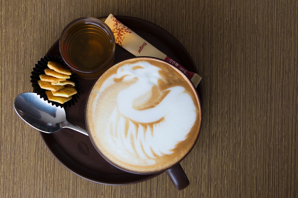 Symbol brown coffee brown dragon