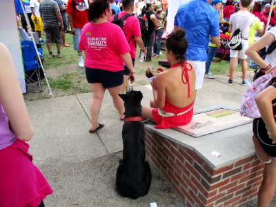 pride festival augusta,ga 2019pride festival augusta,ga 2019 photo