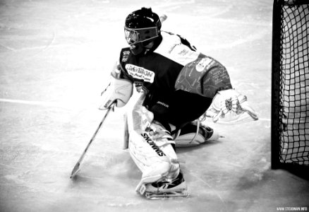 Bracknell Bees Vs Manchester Phoenix