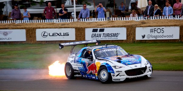 2017-06-30 - Goodwood Festival Of Speed