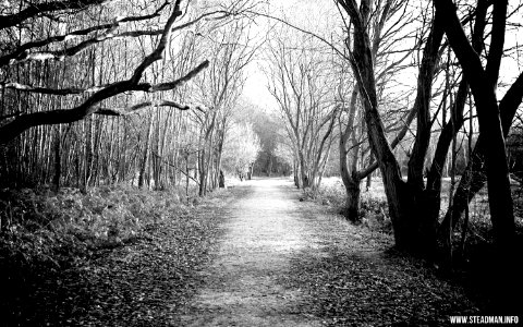Southwood