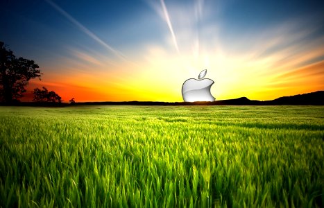 Apple Wallpaper photo