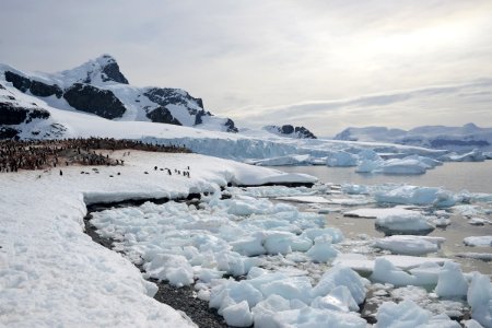 antarctictrip070