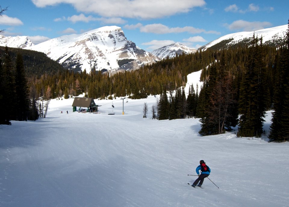 Sunshine Village Landscape