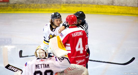 Bracknell Bees Vs Swindon Wildcats