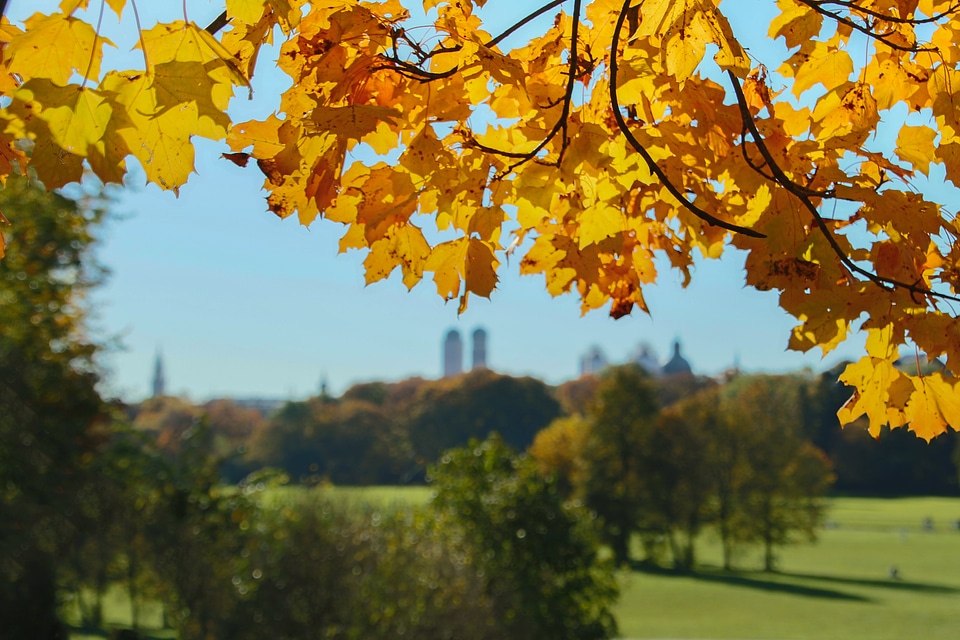 Park natural green landeshaupstadt autumn