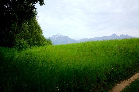 Pioneer Peak.