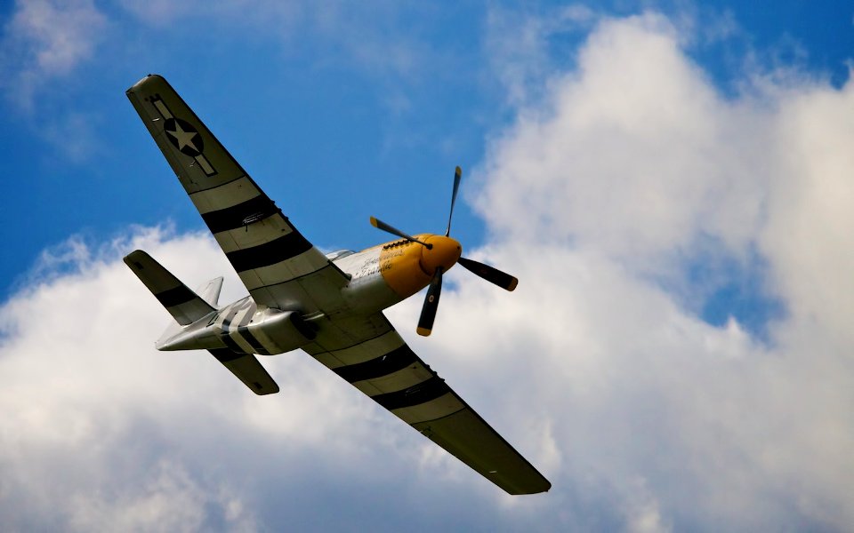 P-51D Mustang photo