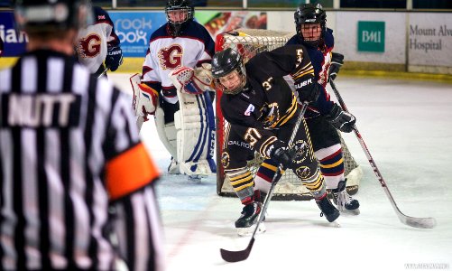 Ice Hockey - Guildford Lightning Vs Bracknell Queen Bees