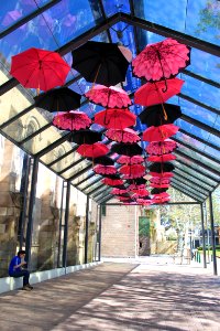Sunshine in the rain