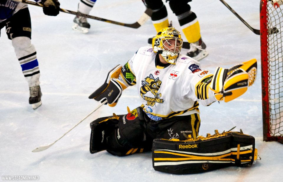 Bracknell Bees Vs Sheffield Steeldogs