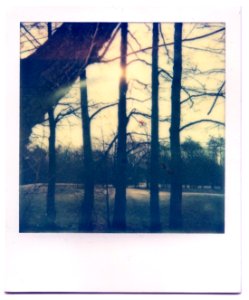 Southwood Golf Course Polaroid
