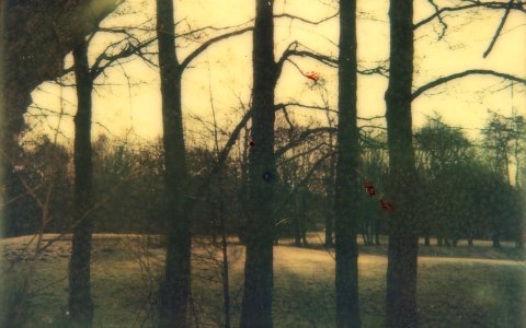 Southwood Golf Course Polaroid