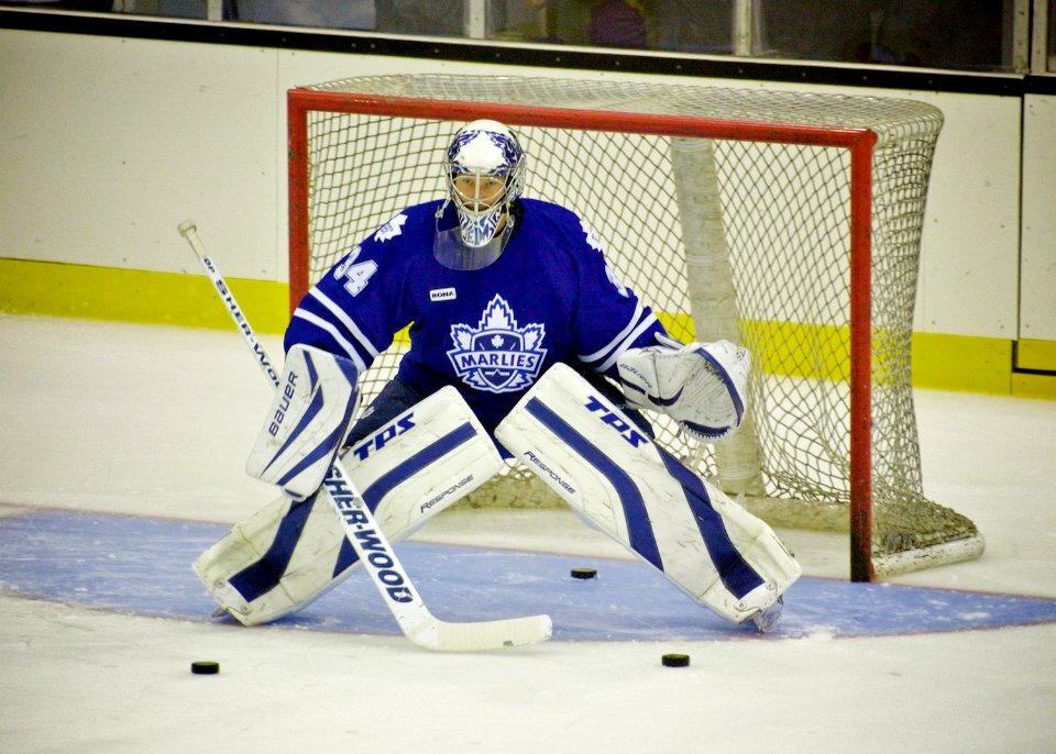 Hamilton Bulldogs Vs Toronto Marlies