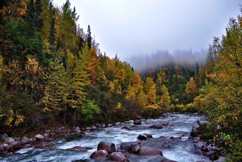 Colours of Autumn III