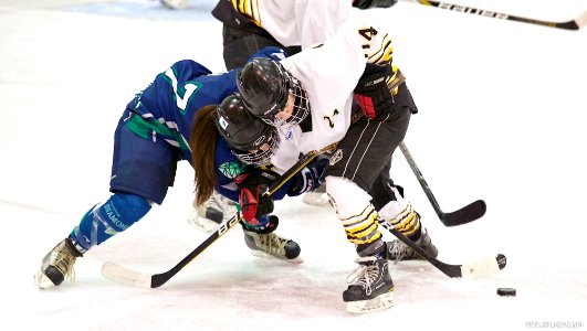 EIHA Trophy Weekend Final - Queen Bees Vs Diamonds